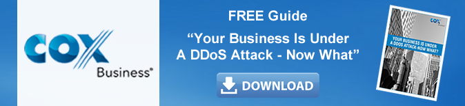 cta_ddos_attack_free_guide.fw.png