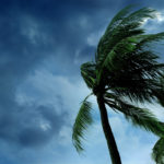 storm and hurricane preparedness
