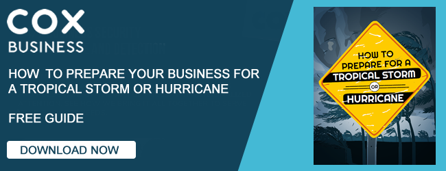 Tropical Storm and Hurricane Preparedness Guide for Business