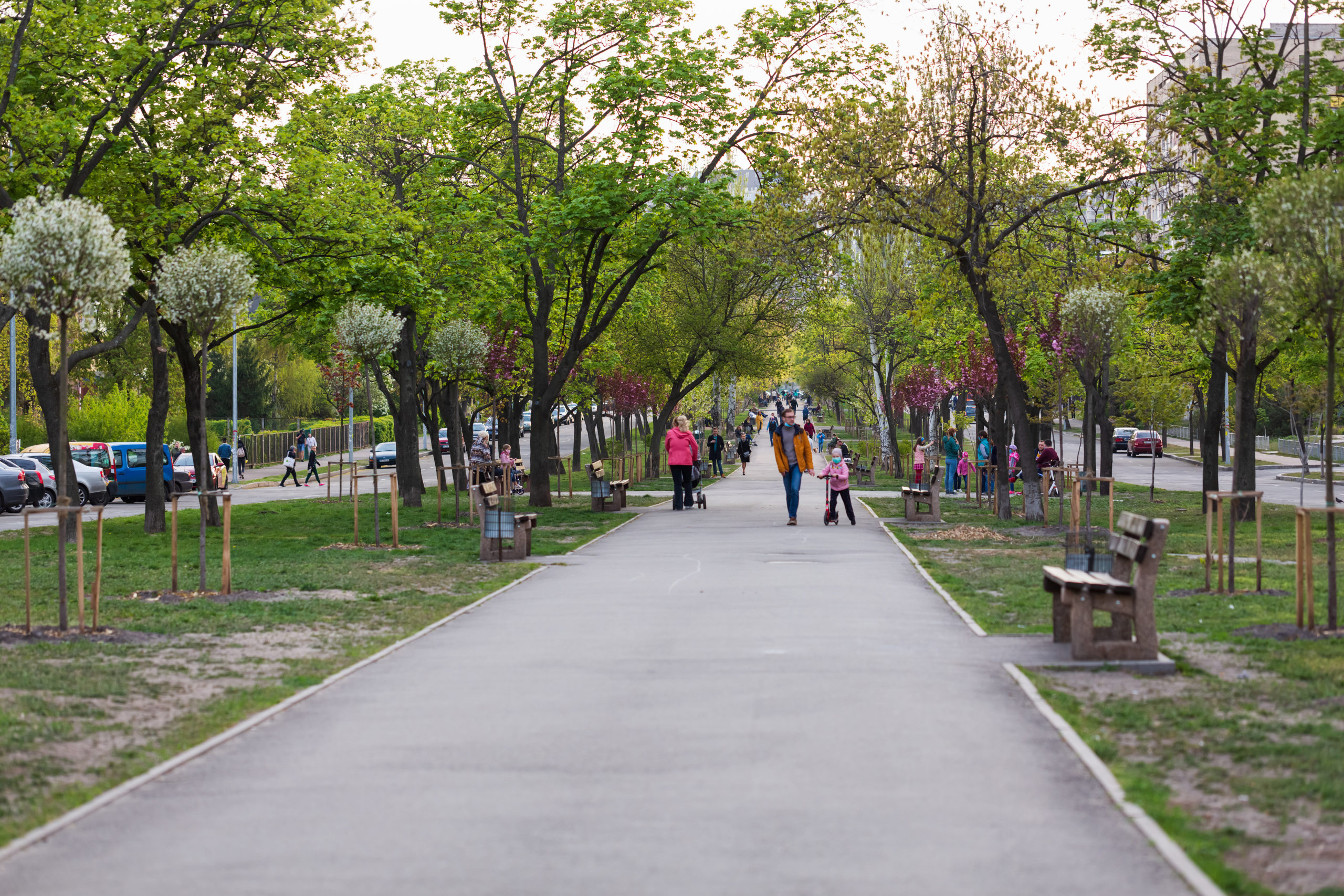 Revitalizing Communities: One Smart Park at a Time
